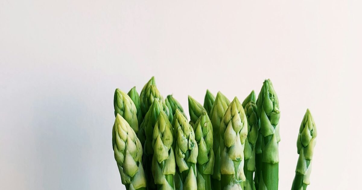 Légumes lactofermentés : conserves vivantes riches en probiotiques